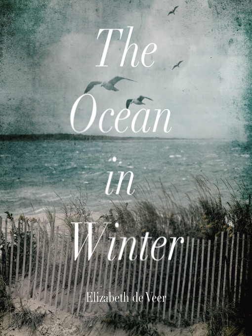 Title details for The Ocean in Winter by Elizabeth de Veer - Wait list